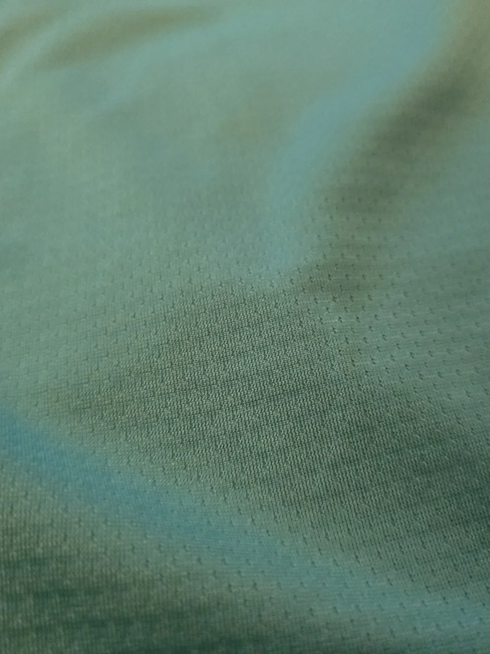 Nike Teal Athletic Shorts with Black Trim NWOT LARGE